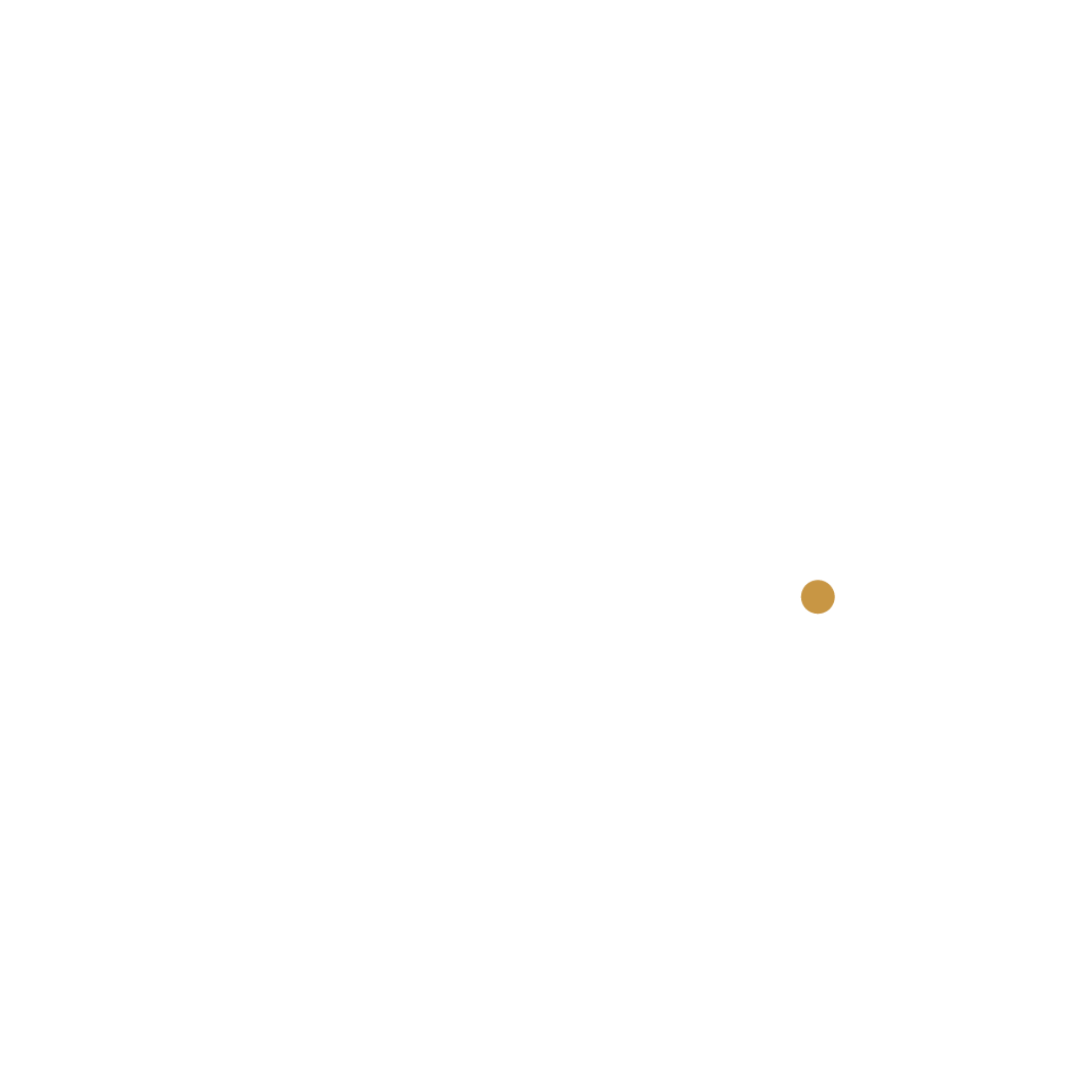 Biso